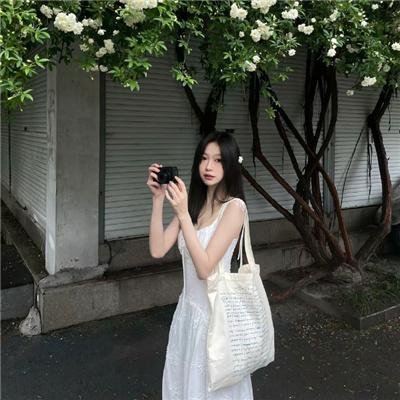 密探海芮:部落格大战